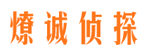 桐柏市场调查